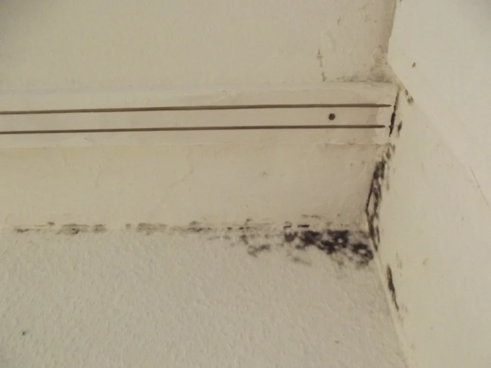 Technician in protective gear removing a mold-damaged wall in a Columbia home